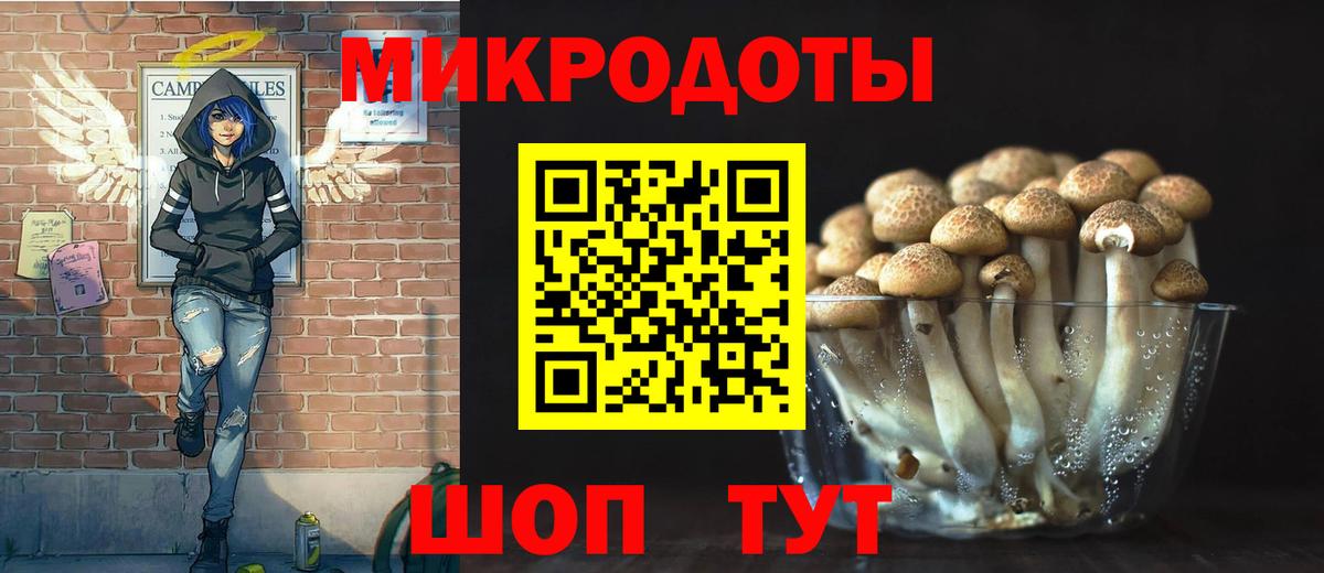 Уварово  Галлюциногенные грибы прущие грибы  Вход с VPN  Псилоцибиновые грибы Cubensis 